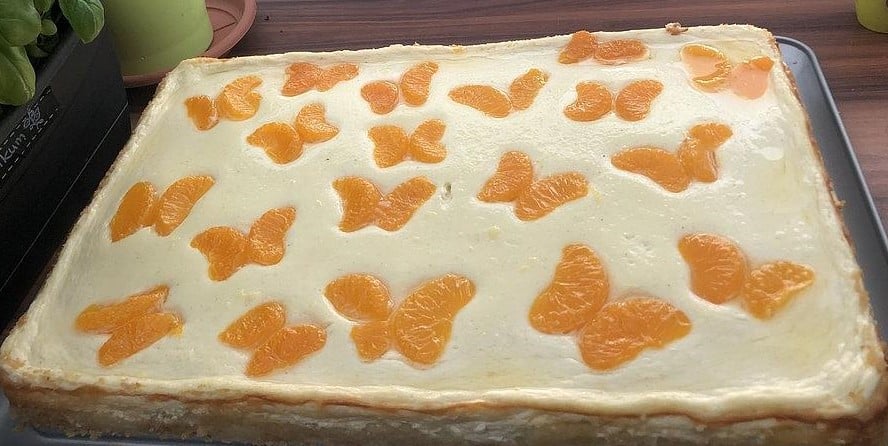 Blitz Kasekuchen Mit Mandarinen Vom Blech Einfach Nur Lecker