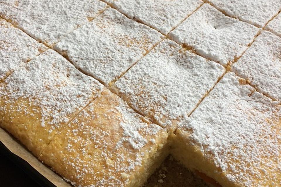 Blechkuchen Mal Ganz Schnell Einfach Nur Lecker